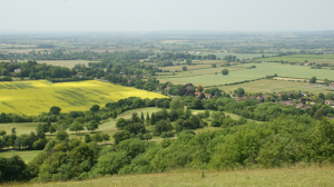 Country